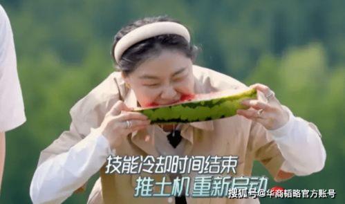 娱乐吃瓜地背后是谁